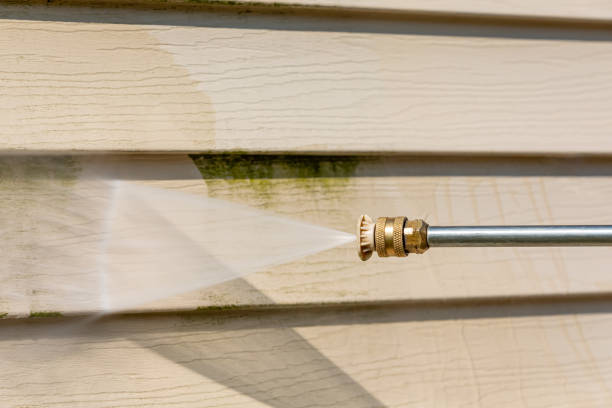 Best Local Pressure Washing Services  in Fort Meade, FL